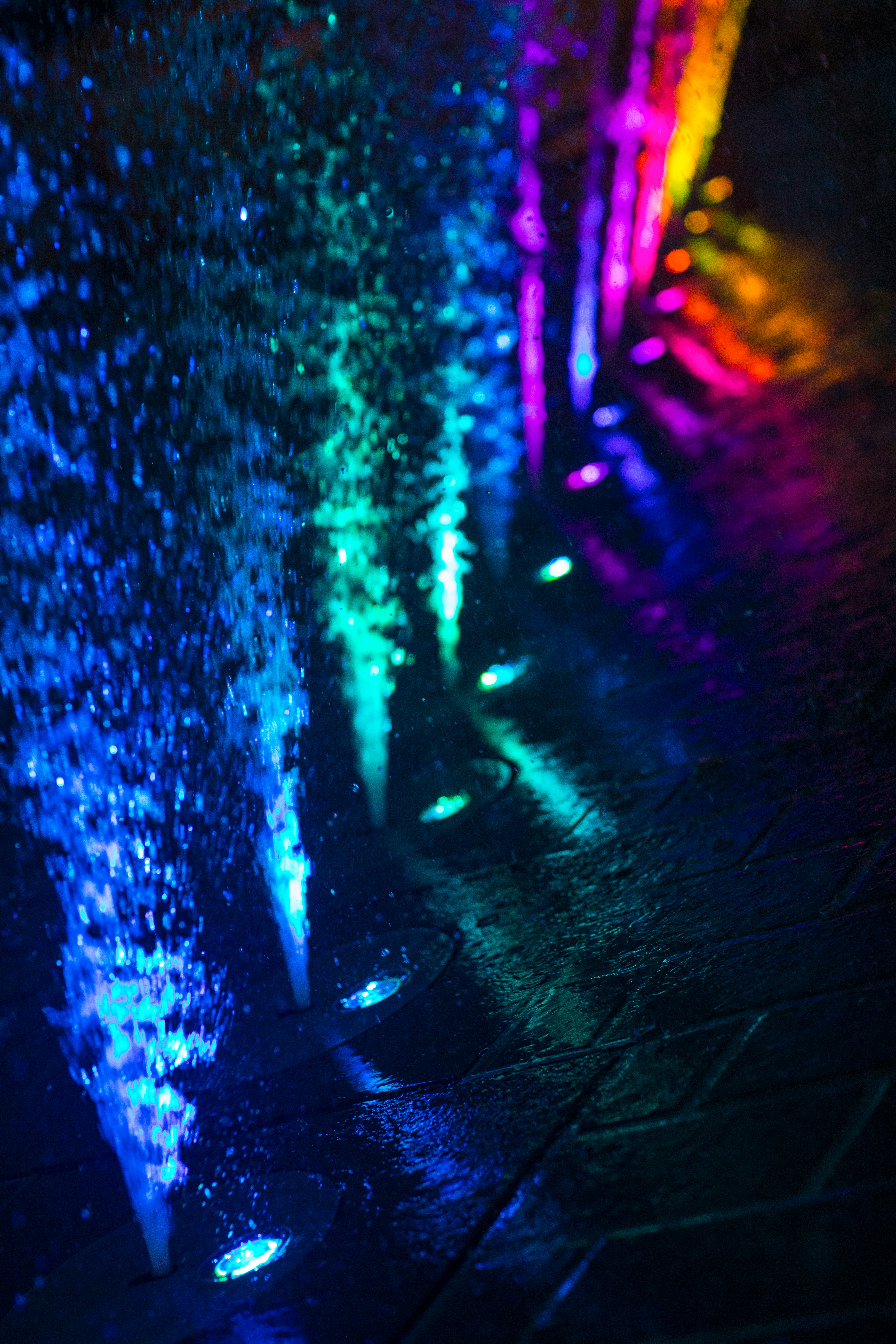Luminous pathway softly framing a manicured Long Island garden with IP55-rated path lights