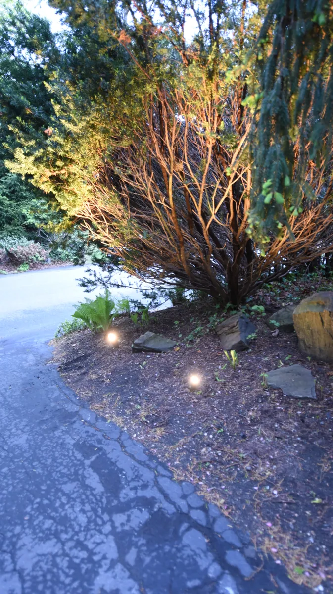 Outdoor landscape lighting installation in Commack NY