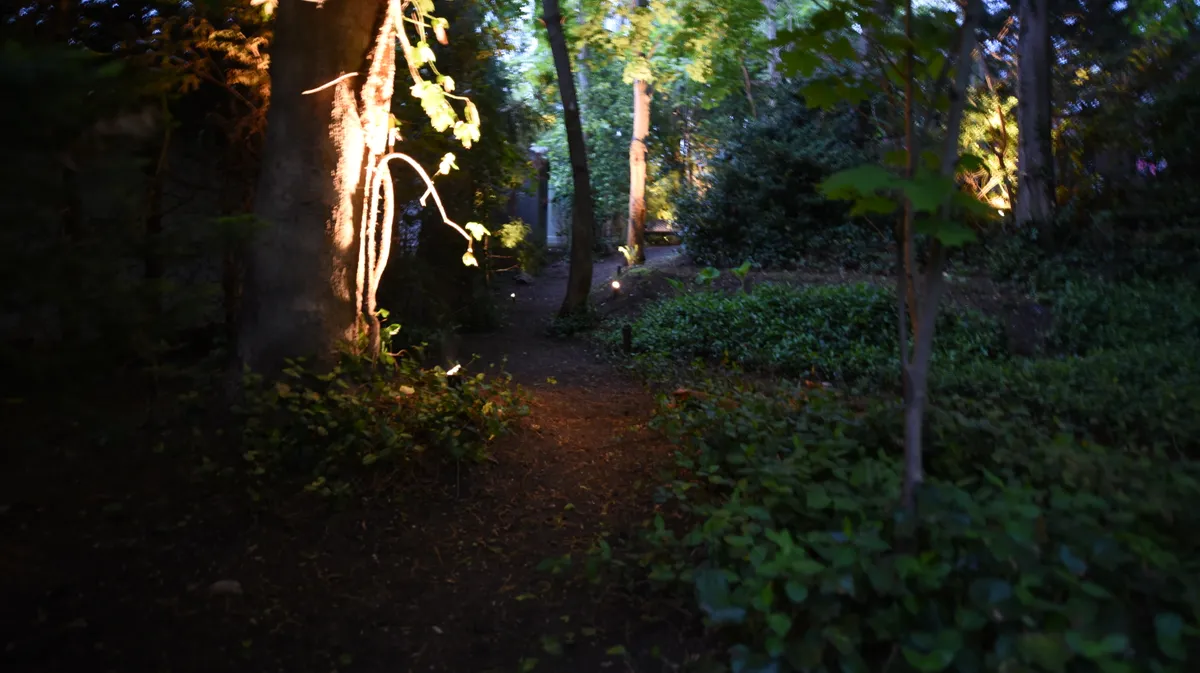 Pathway and accent lighting in Commack NY