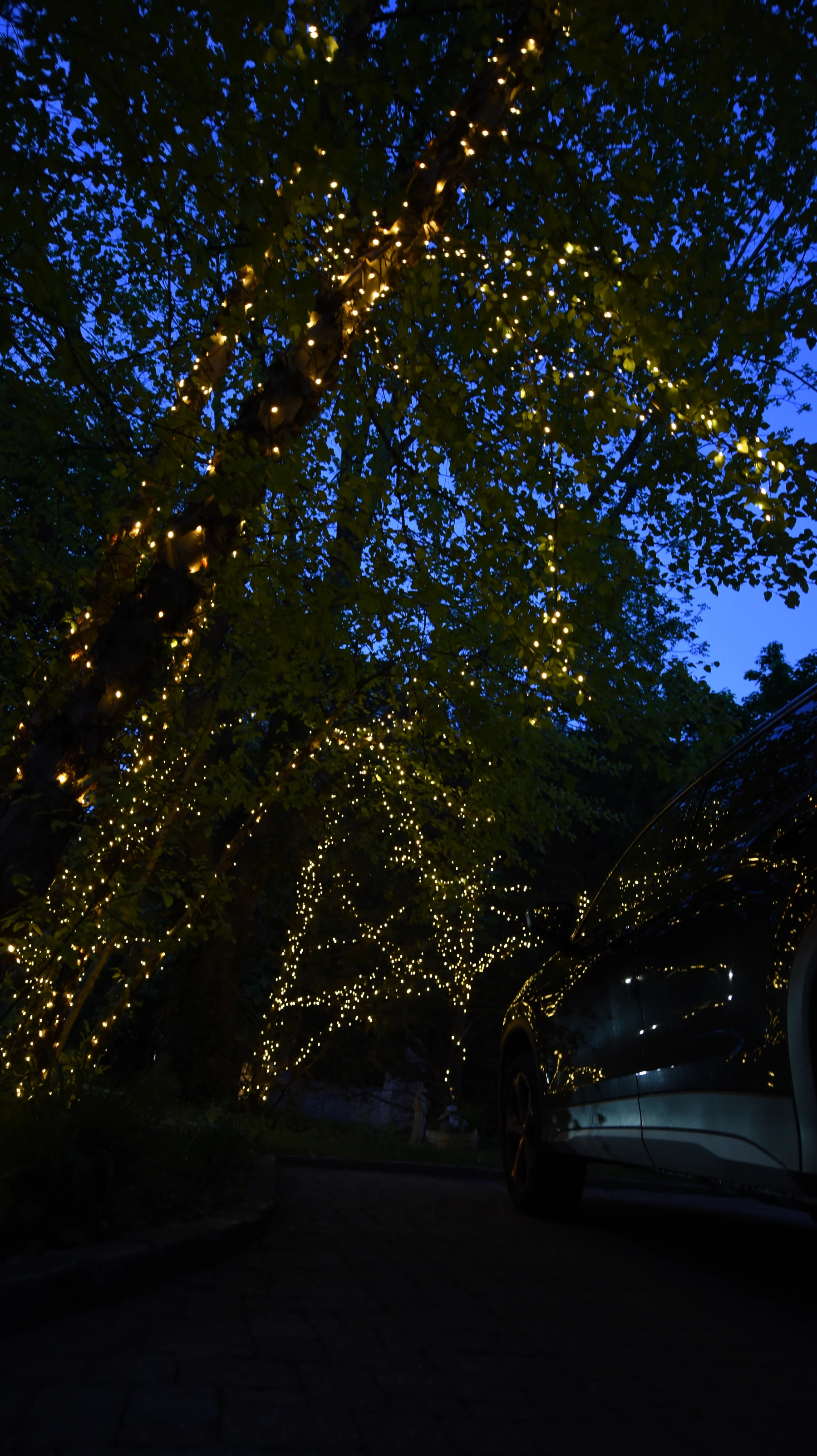 Luxury pathway lighting and curb appeal lighting in Oyster Bay NY