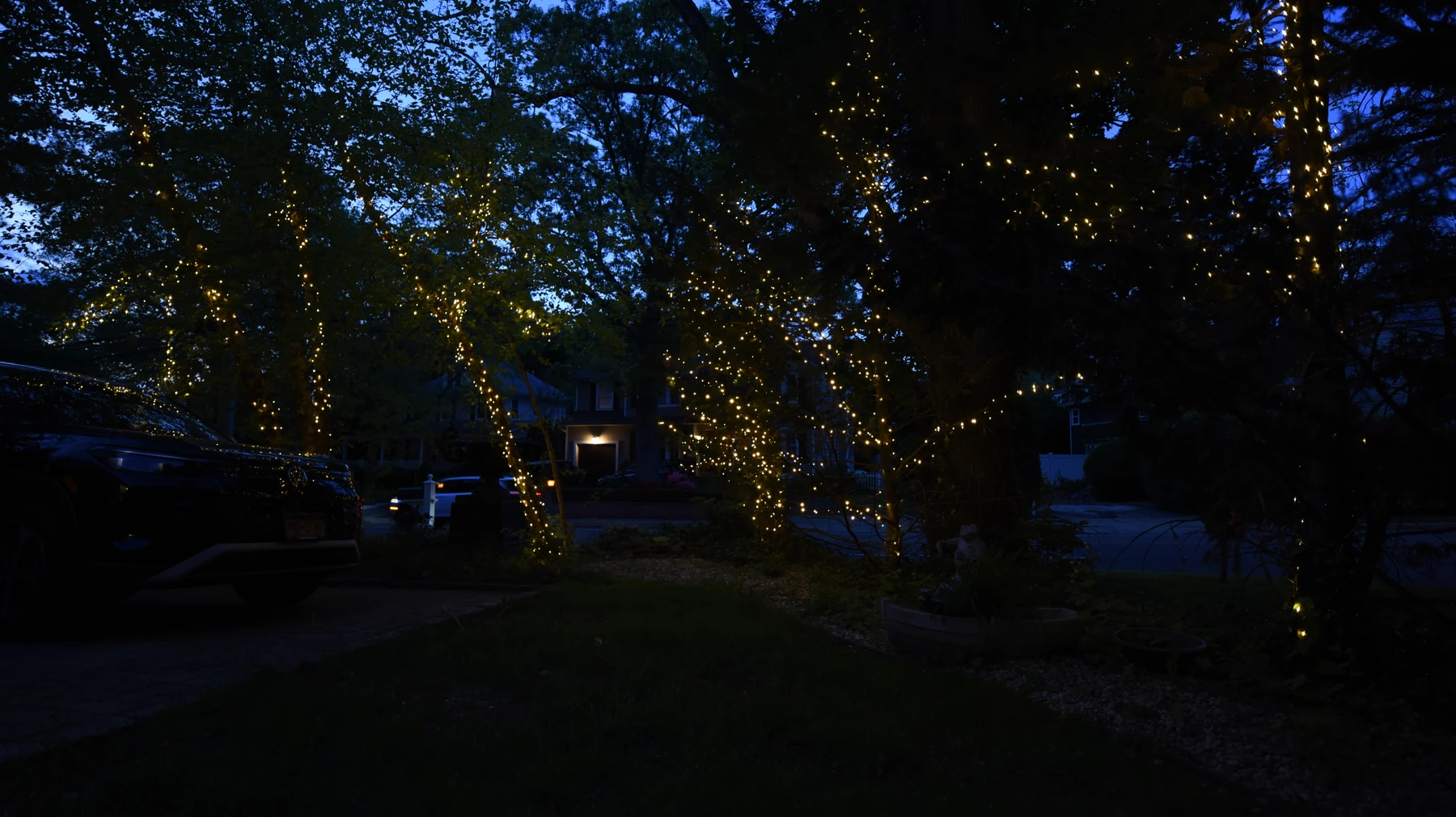 Warm low voltage landscape lighting project in Oyster Bay NY