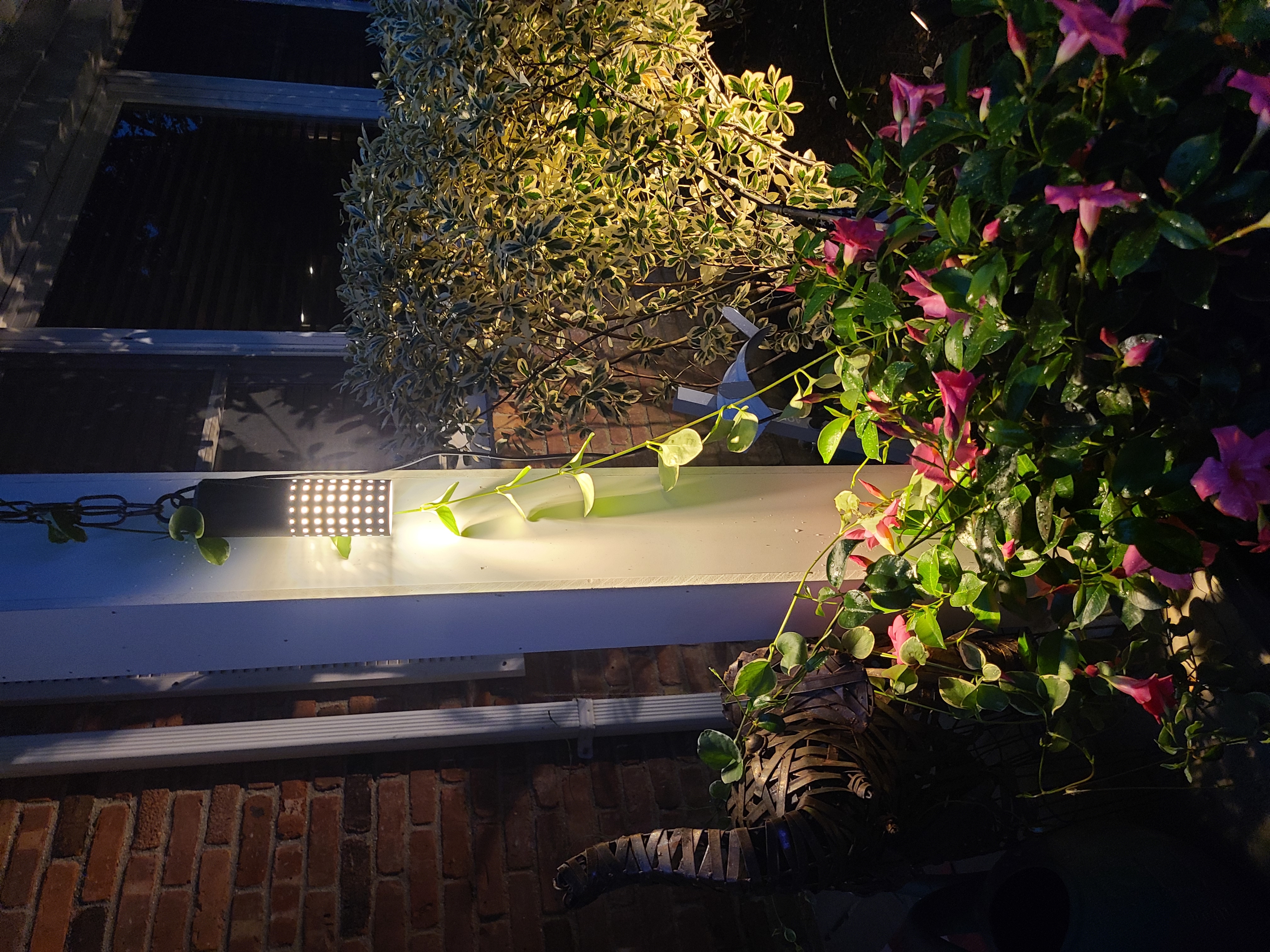 Outdoor lighting project photo from Long Island