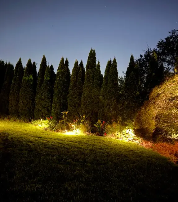 Landscape lighting around garden beds and outdoor living areas