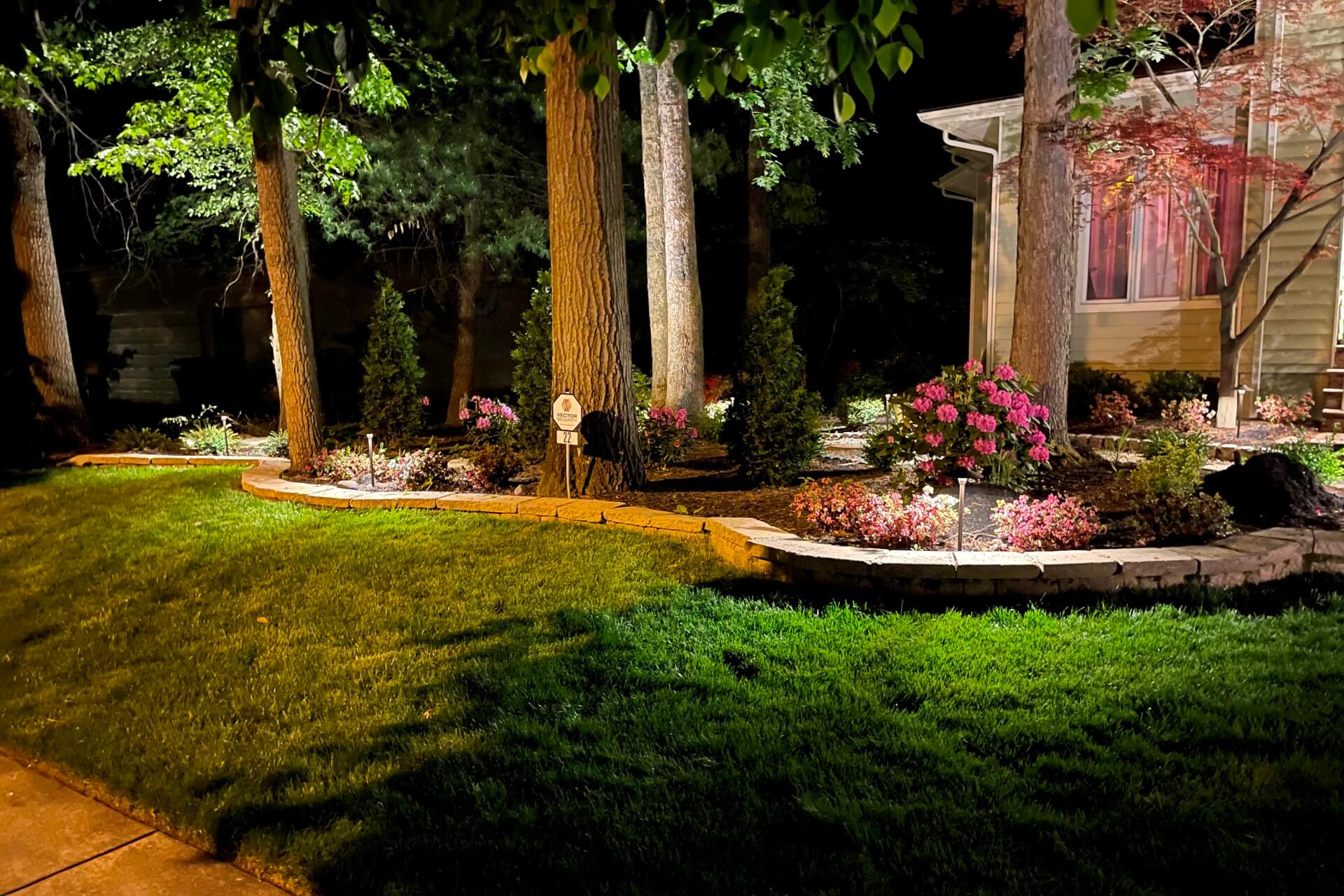 Landscape lighting installation in a backyard