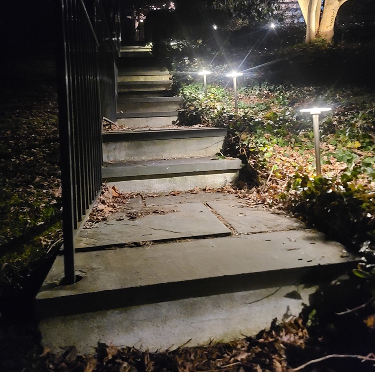 Pathway and accent lighting installation by Oasis Lighting Design