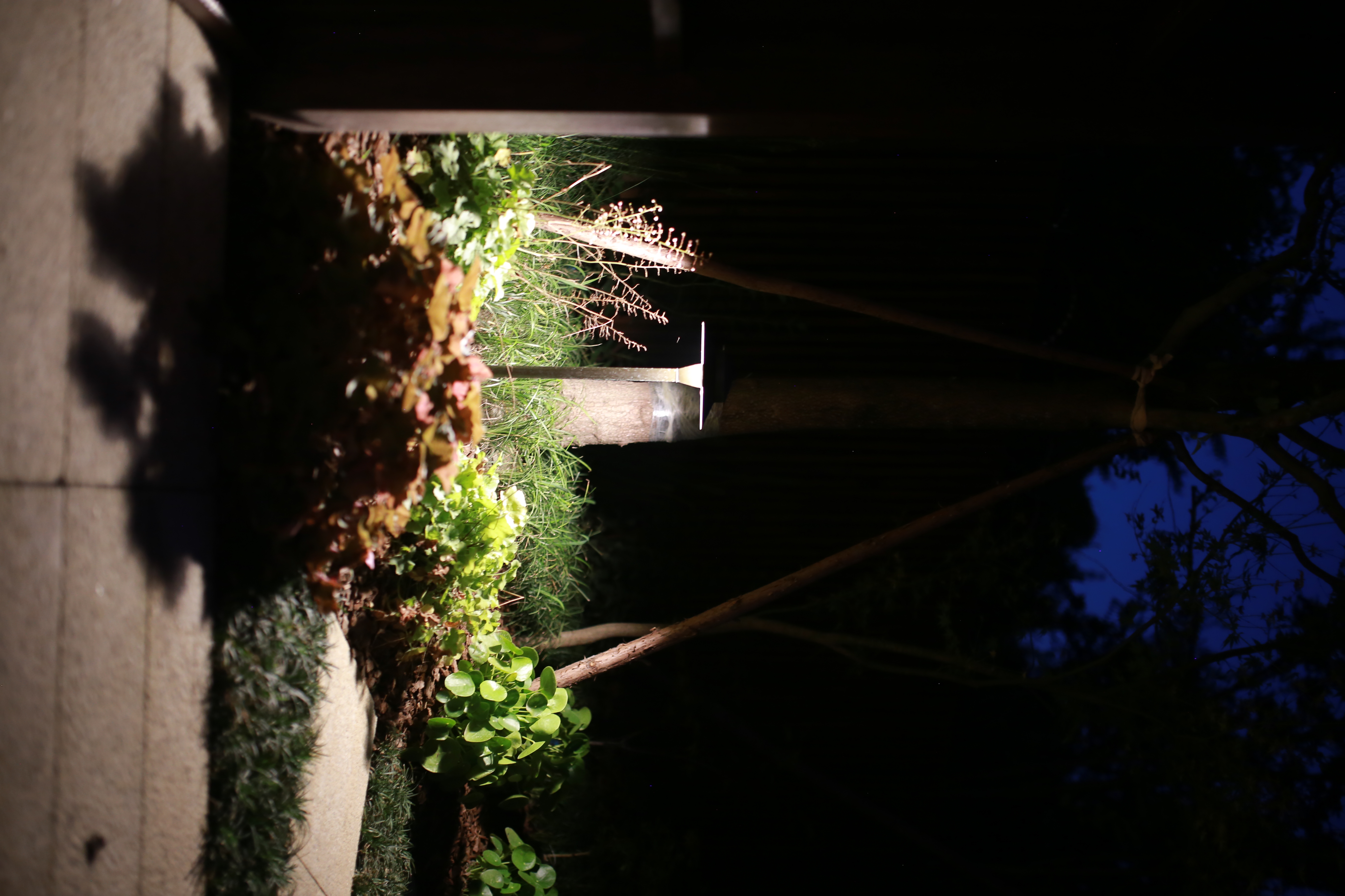 Walkway Lights