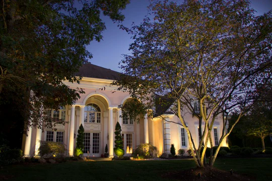 Sterling outdoor lighting installed around trees and architectural details
